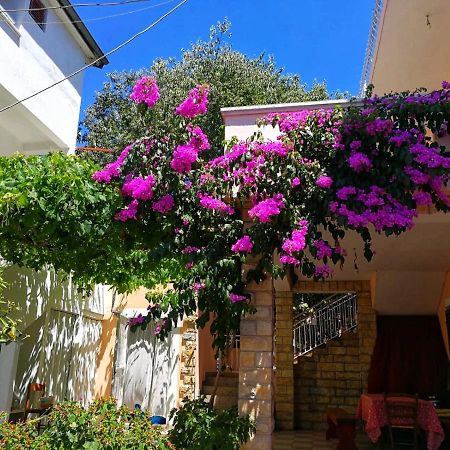 Apartmani Leon Biograd Na Moru Eksteriør billede