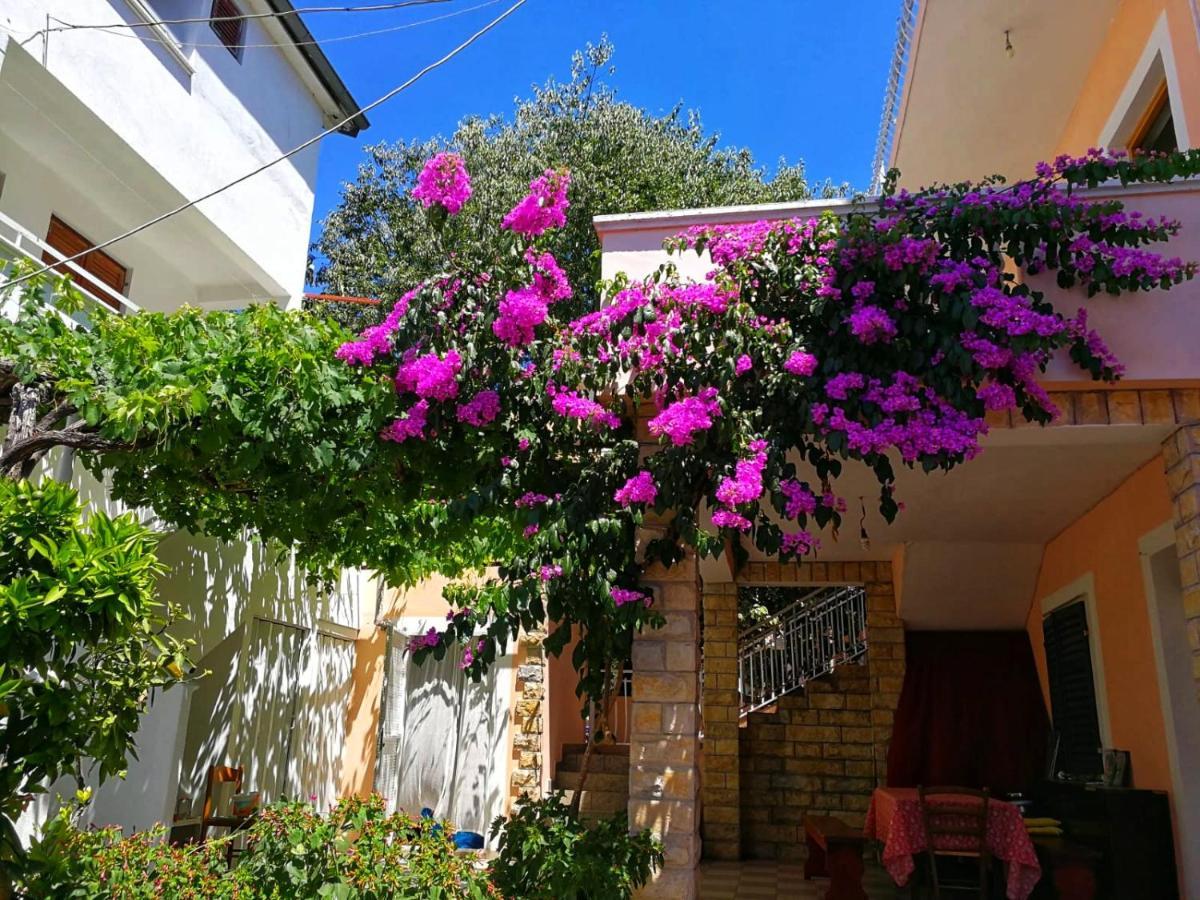 Apartmani Leon Biograd Na Moru Eksteriør billede