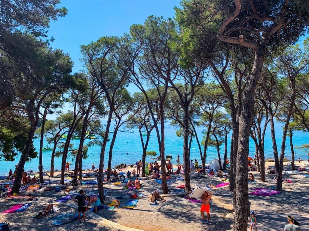 Apartmani Leon Biograd Na Moru Eksteriør billede